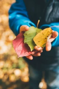 Autumn nature activities to spark your child’s curiosity